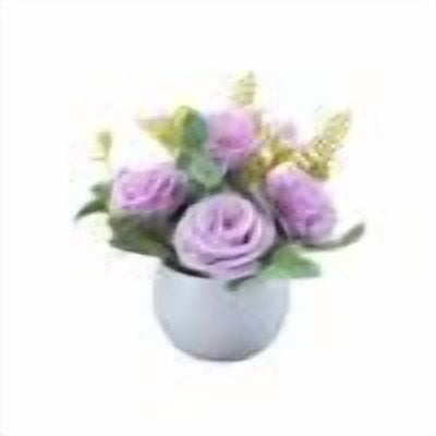 I/Purple