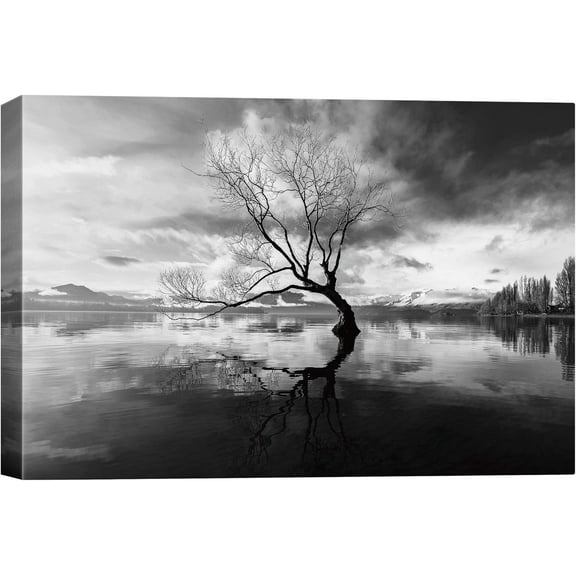 VELVET Canvas Wall Art A Wisdom Tree The Lake with Snow Mountains Nature Wilderness Photography Modern Art Contemporary Dramatic Black and White for Living Room, Bedroom, Office - 18x12inch Framed