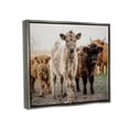 thumbnail image 4 of Stupell Industries Baby Calves on Farm Animals & Insects Photography Gray Floater Framed Art Print Wall Art, 31 x 25, 4 of 10