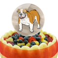 thumbnail image 5 of Acrylic English Bulldog Pet Dog Cake Topper Party Decoration for Wedding Anniversary Birthday Graduation, 5 of 6