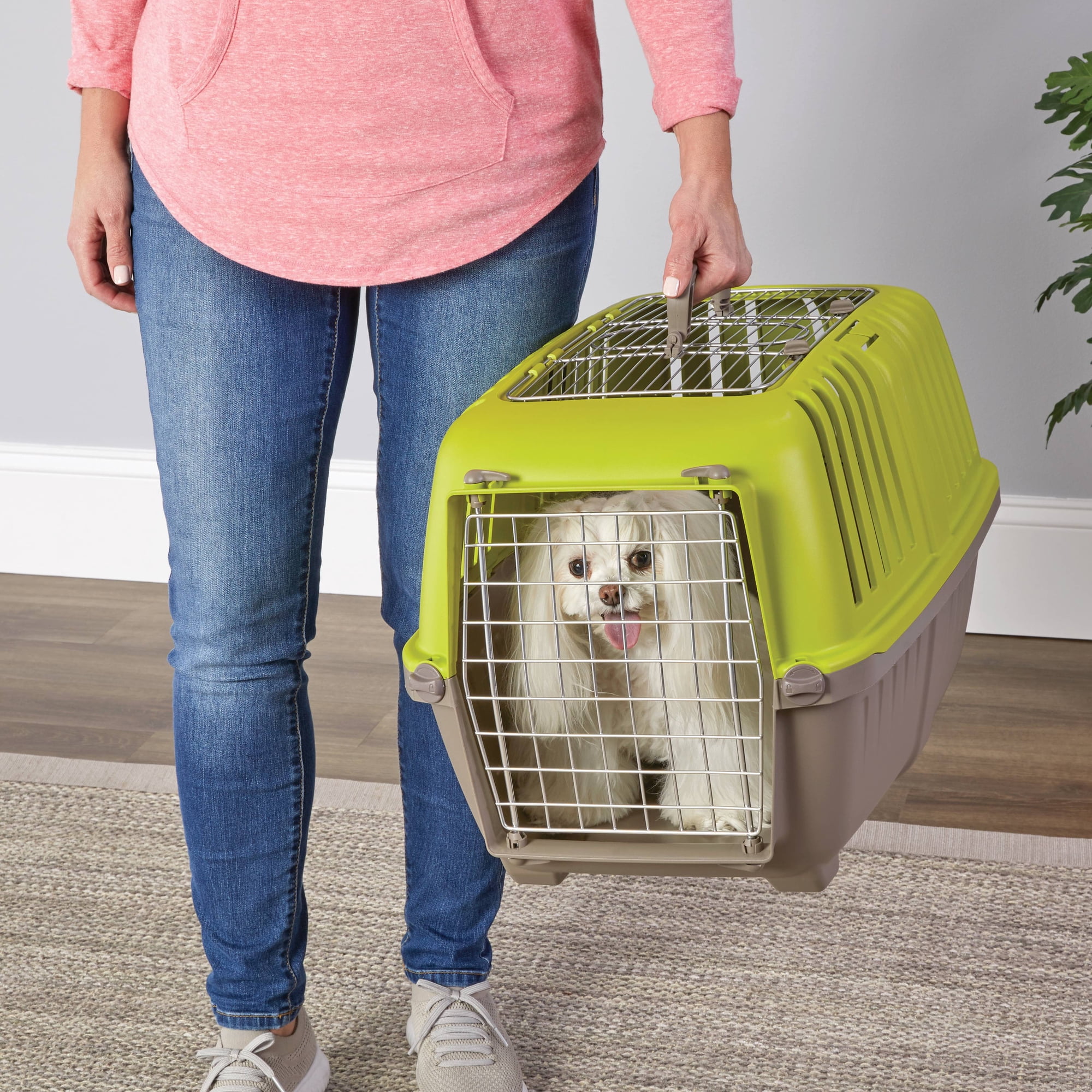 MidWest Homes for Pets 24 inch Two Door (Front and Top) Door Spree Travel Pet Carrier for Doga and Cats with Steel Door, Green