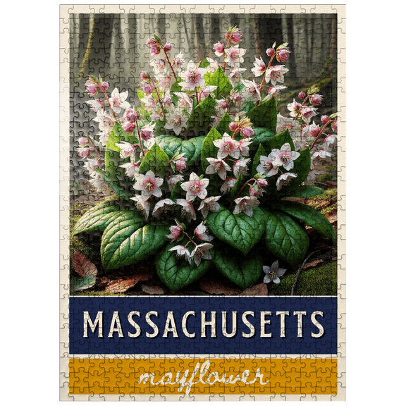 MyPuzzle - State Flowers Series: Massachusetts, Mayflower - Premium 500 Piece Jigsaw Puzzle for Adults
