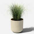 thumbnail image 3 of Veradek Mason Series Kona 15" Plastic-Stone Planter - Sand, 3 of 8