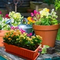 thumbnail image 4 of 3 Pack Plastic Window Box Planters, 17 inches Rectangular Window Planters Plant Boxes Planter Flower Containers with Tray for Balcony, Windowsill, Garden Christmas Decorations (Terracotta), 4 of 7