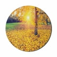thumbnail image 1 of Forest Mouse Pad for Computers, Colorful Foliage in the Autumn Park Evening View Natural Inspired Picture Print, Round Non-Slip Thick Rubber Modern Mousepad, 8" Round, Yellow Green, by Ambesonne, 1 of 2