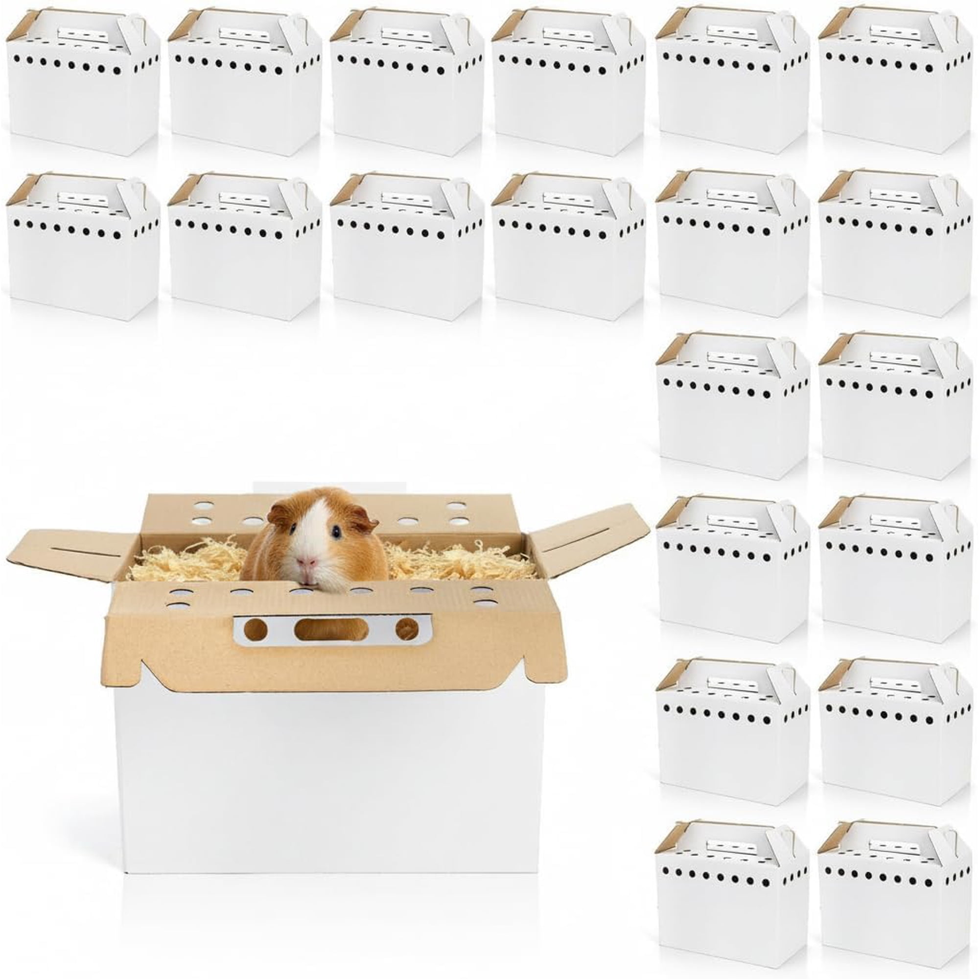 20-pack cardboard small pet transport boxes, 11x 8x6.1inch disposable pet transport boxes, suitable for chicks, hamsters, gerbils, reptiles, guinea pigs