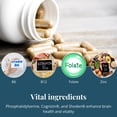 thumbnail image 3 of Nutritunes Brain Support Supplement for Focus, Memory & Clarity with Citicoline, Phosphatidylserine, Ashwagandha & B Vitamins – 60 NutriWit Capsules, 3 of 8
