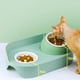 thumbnail image 5 of Comederos elevados para gatos, para interiores, inclinados y elevados, para el cuello Verde, 5 of 9