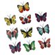 thumbnail image 1 of 10 pcs 3D Magnetic Butterfly Fridge Decor Decorative Sticker DIY, 1 of 5