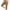 Coffee, variant on UAMVSH Women's Sweatpants Capri Pants Cropped Running Pants Lounge Loose Drawstring Waist Jogger with Pockets