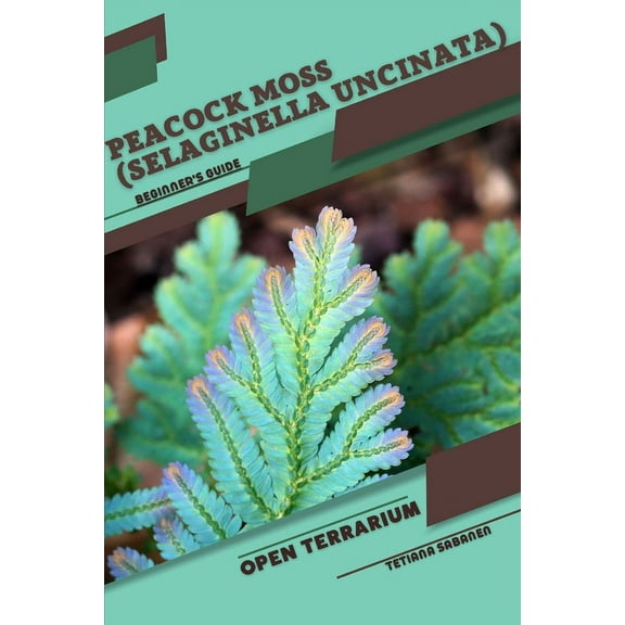 Peacock Moss (Selaginella uncinata): Open terrarium, Beginner's Guide, (Paperback)