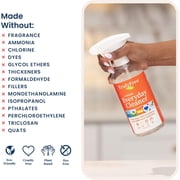 Truly Free Everyday Cleaner - Multipurpose Cleaner Spray, Kitchen Counter Cleaner, Natural Cleaning Products, Multi-Surface Household Solution, 1 Empty Bottle Spray (16oz) & 2 Refills (3oz each)