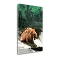 thumbnail image 2 of Tangletown Fine Art 'Rain Bears' Photographic Print on Canvas, 2 of 2