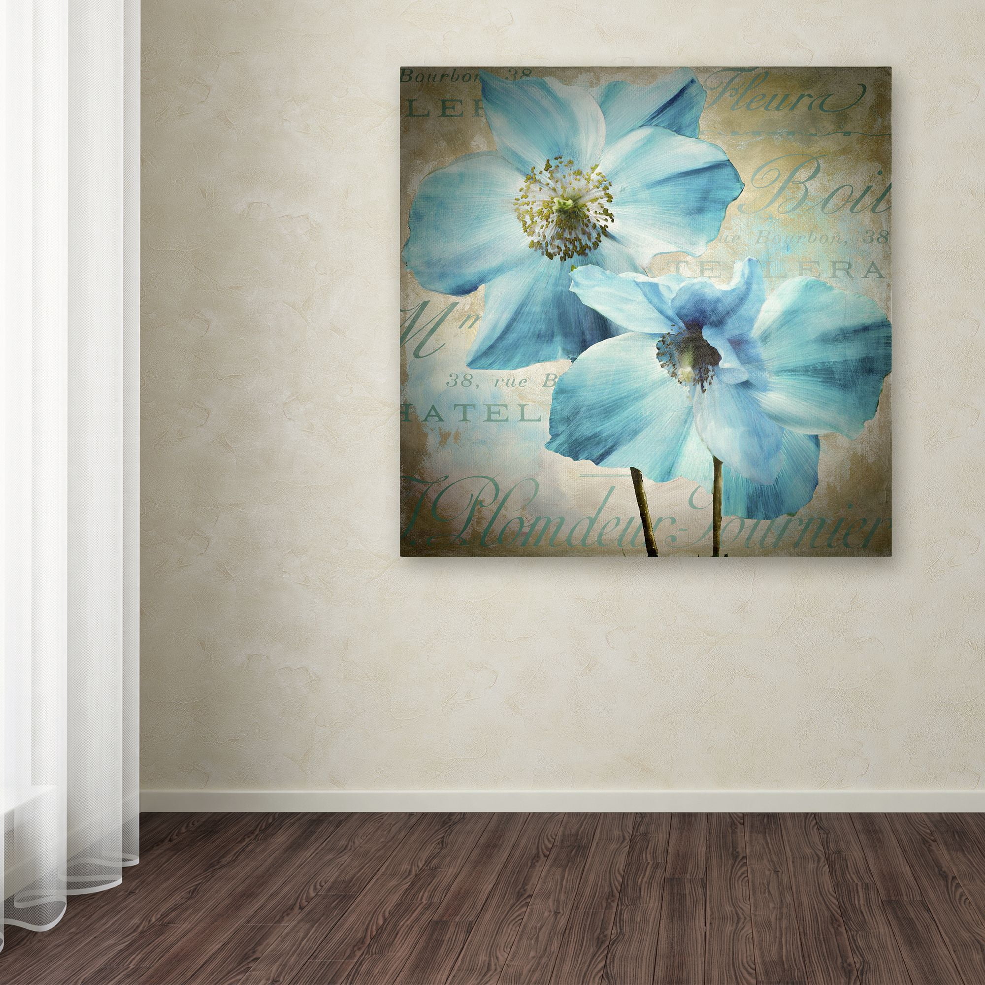 Trademark Fine Art "Himalayan Blue I" Canvas Art by Color Bakery