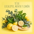 thumbnail image 5 of Té de Eucalipto Menta y Limón Remedy 24 Fresco 20 sobres, 5 of 5