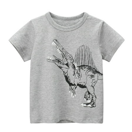 

LBECLEY Long Sleeves Boys Shirts Toddler Kids Baby Boys Girls Short Sleeve Crewneck T Shirts Tops Tee Clothes for Children Winter T Shirts Boys Grey 90