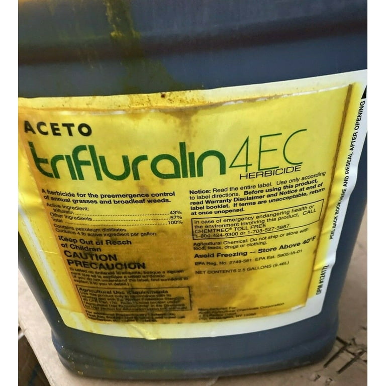 fertilizing fiddle leaf fig Liquid Fertilizer for Fiddle Leaf Fig - 8 fl oz