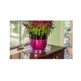 thumbnail image 3 of Gardener's Blue Ribbon TS10 10 in. Plastic Plant Saucer, 1.5x Thicker, 3 of 4