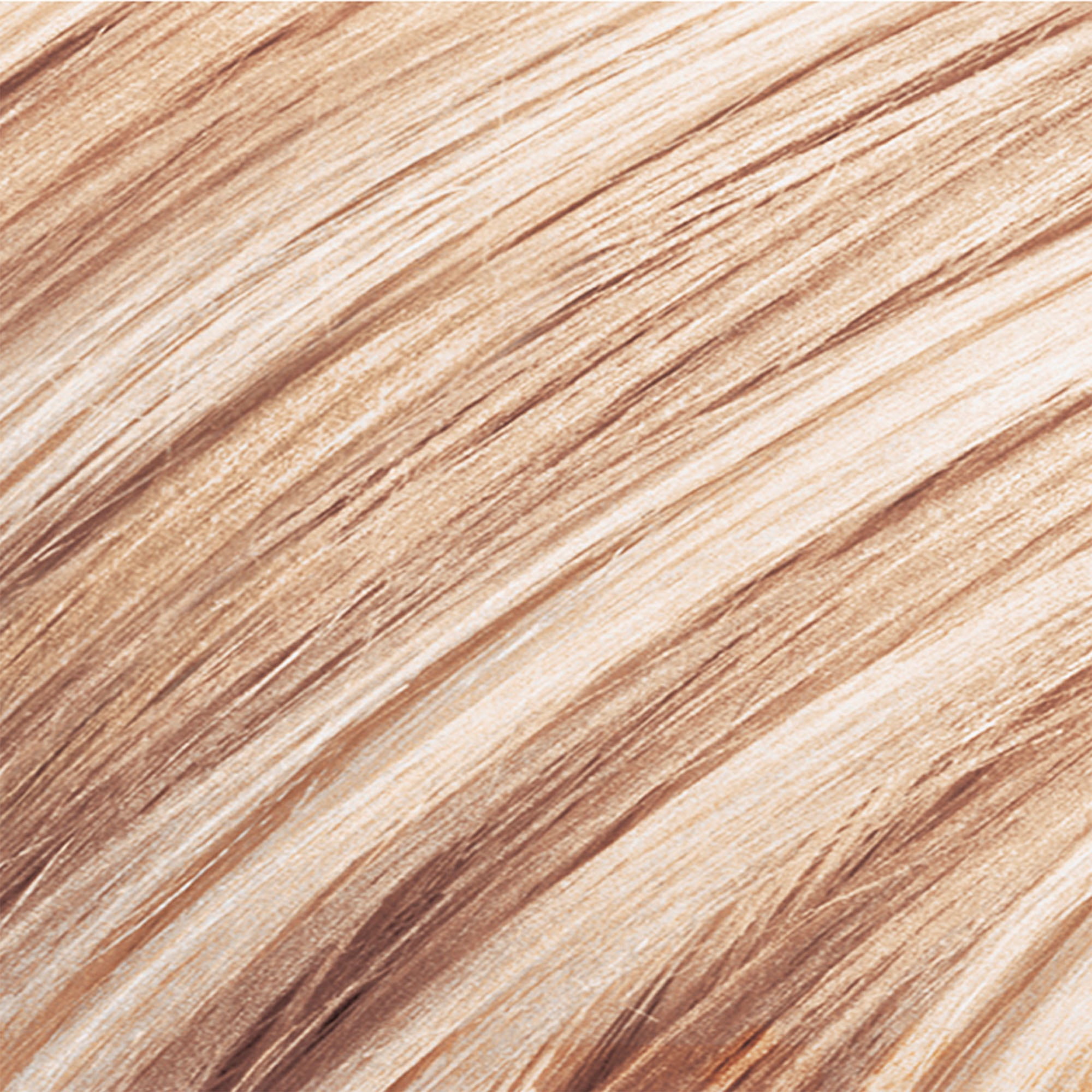 frost and tip hair color