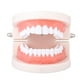 thumbnail image 3 of Rhinestone Bar Teeth Fang Grills Teeth Caps Hippy Jewelry - Plata 4 Cristal Zulema Boca boca tapa de tomas, 3 of 7