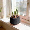 thumbnail image 1 of Contemporary Hydroponic Onion Grower Enhancing Indoor Spaces With Green And Easyly Multipurpose Hydroponics, 1 of 4