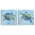 thumbnail image 1 of Cuadro Decorativo - Tortuga Marina II Jr Impresión en canvas, estrechado, 1 of 1