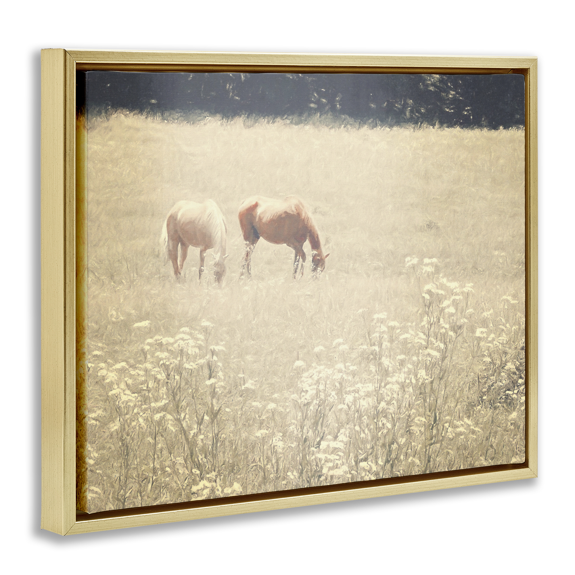 Stupell Industries Pair of Horses Grazing Landscape & Nature Photography Gold Floater Framed Canvas Art Print Wall Art, 21 x 17