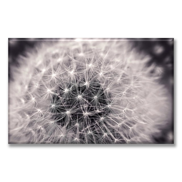 Cuadro Canva Pixtreats Diente De Leon 60X90 cm