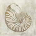 thumbnail image 2 of Robinson, Carol 26x26 White Modern Wood Framed Museum Art Print Titled - Seashell Illusion I, 2 of 4