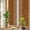 DarkOrange Beige, variant on Burnt Orange Beige Striped Privacy Window Film, Decorative Stained Glass Window Film, Modern Farmhouse Retro Lines Resuable Rainbow Static Cling for Home Bathroom Living Room Glass Door 23.6"x59"