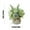 H, variant on Artificial Potted Flowers with Ceramic Bottled,Artificial Flowers Distinctive Design Faux Flower with Small Ceramic Vase,Mini Artificial Flower Arrangements for Living Room Banquet Party Wedding