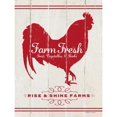 thumbnail image 3 of Marrott, Stephanie 12x14 Black Modern Framed Museum Art Print Titled - Rooster, 3 of 5