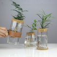 thumbnail image 4 of Jarrón de vidrio hidropónico creativo, micropaisaje transparente, decoración ecológica para pecera, arreglo floral con plantas hidropónicas de rábano verde, manualidades, 4 of 6