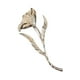 thumbnail image 3 of Broche de hoja floral de metal de gran tamaño, alfiler de ramillete, joyería de moda novedosa para mujeres plata, 3 of 8