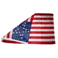 thumbnail image 2 of 3x5 USA American Great Star 20 Stars 1818-1819 Flag 3'x5' Banner Grommets, 2 of 4