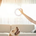 thumbnail image 4 of Tvtnvo Dog Toys Squeaky Tpr Rubber Tennis Bottle Teething Toy Long Lasting Floating Chew for Aggressive Chewers Puppy Interactive Play and Fetch Dental Relief and Safe Non Toxic Clear 7.9in, 4 of 6