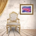 thumbnail image 3 of Nan, Juliana 18x13 Gold Ornate Wood Framed with Double Matting Museum Art Print Titled - A Colorful World.., 3 of 4