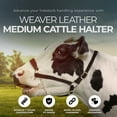 thumbnail image 2 of Weaver Leather Medium Cattle Halter w/Double Stitched Nylon & Chin Choker, 2 of 7