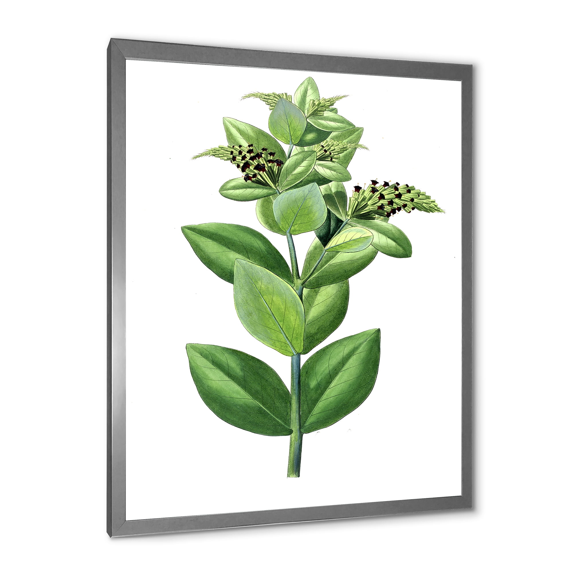 Designart 'Ancient Green Leaves Plants VI' Traditional Framed Art Print