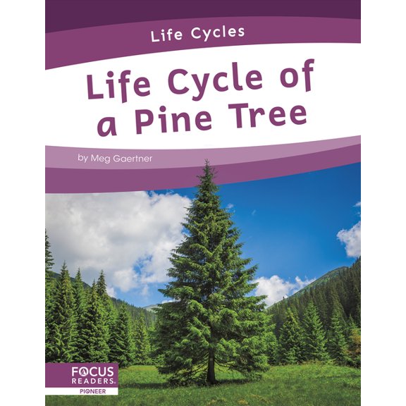 Life Cycle of a Pine Tree (Hardcover)