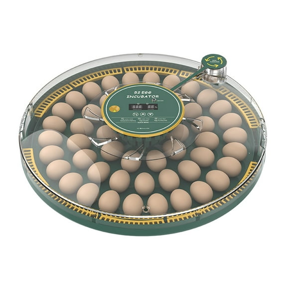 Brooders,With Quail And Chicken Duck Dual And Dual Power And Cozy Dual With And Display Dual And 52 Incubator With Brooders With And Candler With Temperature Display With Water Bottle