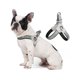 thumbnail image 2 of 1pc Comfortable Dog Collar, Chest Strap, And Back Strap For Medium-sized Dogs With Reflective Strips And Lightweight Design, Fashionable Dog Walking C, 2 of 5
