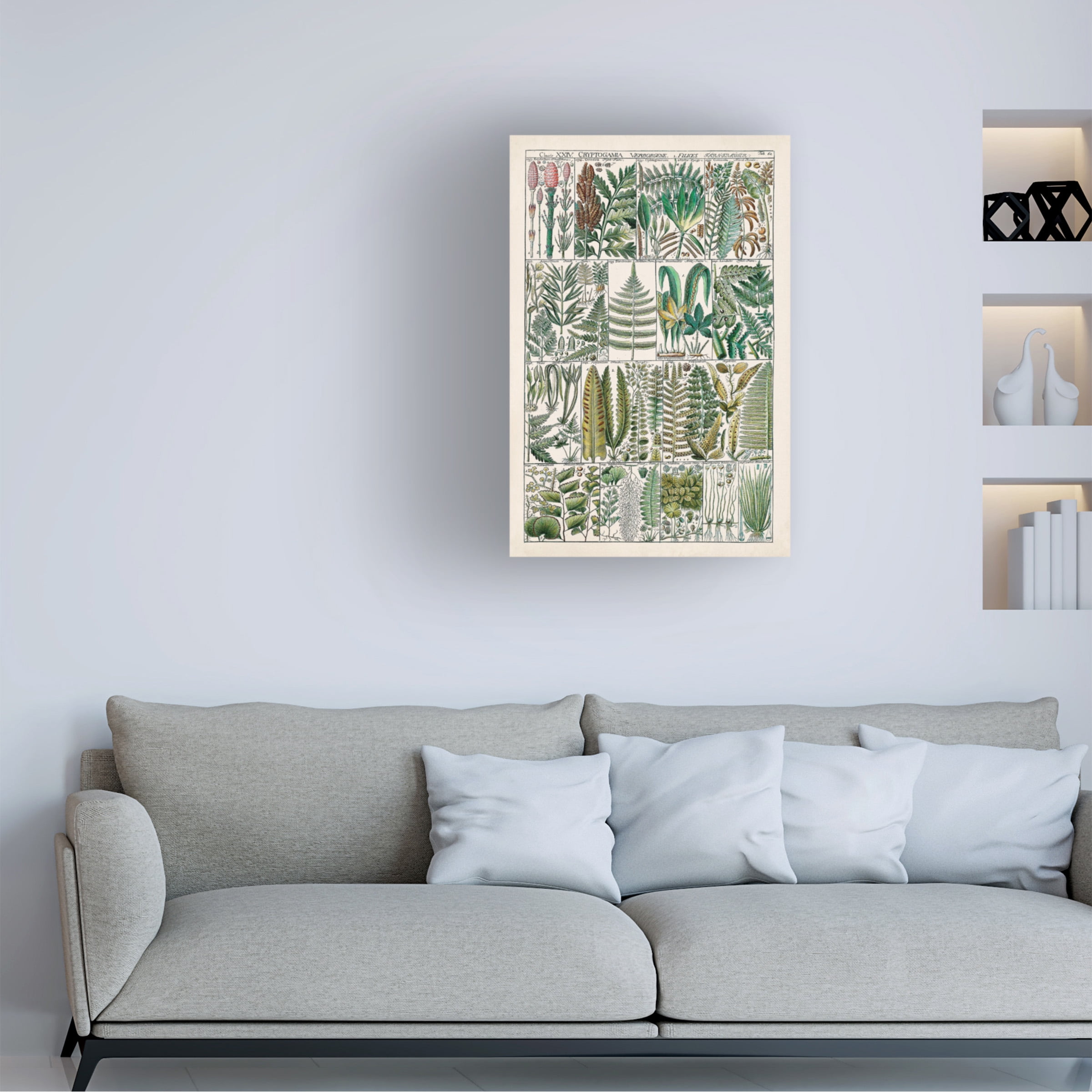 Vision Studio 'Fern Chart' Canvas Art