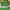 B, variant on 100Fens Simulation Fence Fence Telescopic Fence Fake Flower Green Leaves Outdoor Courtyard Wall Guardrail Decorative Leaves To Shield Plants