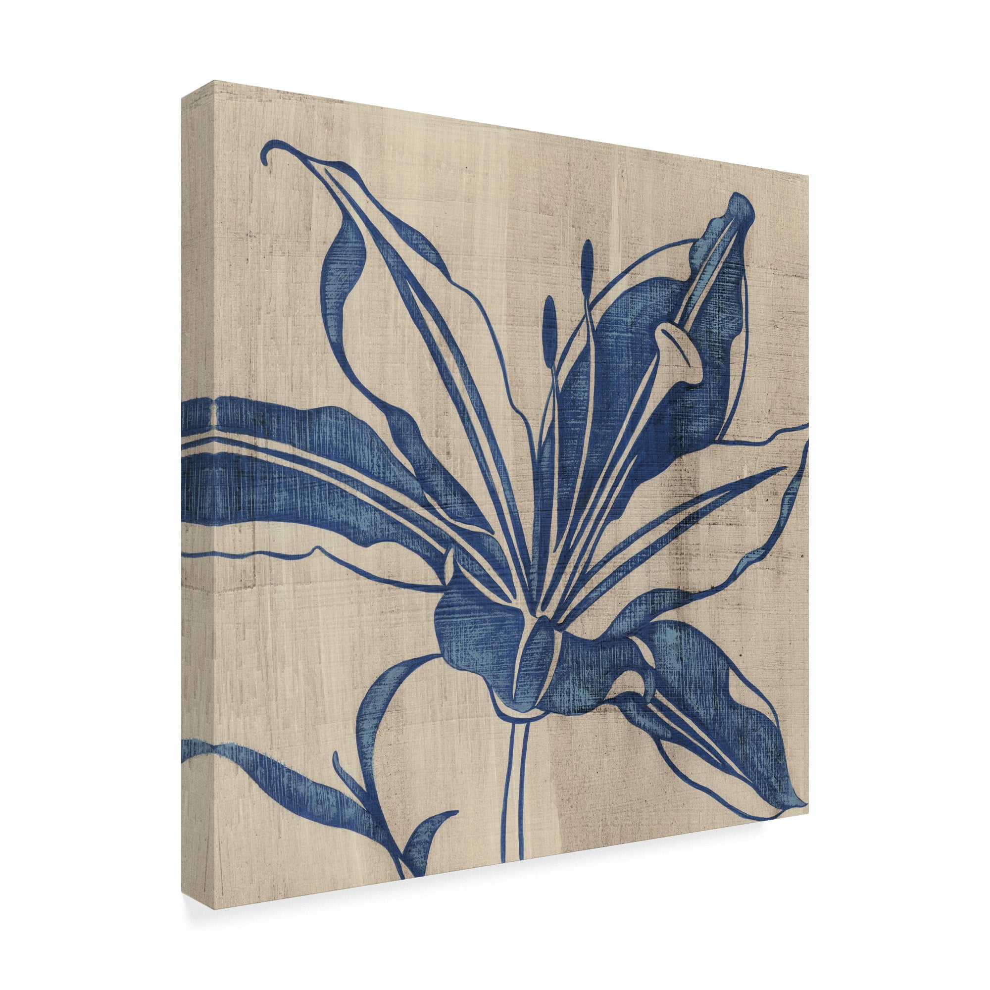 Trademark Fine Art 'Indigo Lily' Canvas Art by Chariklia Zarris