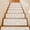 Beige, variant on Coastal Beige Starfish Stair Treads Non Slip for Steps Nautical Ocean Summer Minimalist Sea 4 Pcs Reusable Adhesive Stair Runner Mats for Dogs Elders Carpet Treads Rugs for Staircase 8x30 In