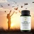 Herbal HHemorrhoids Formula Max Our Best Herbal Hemorrhoids