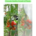 thumbnail image 4 of 4Pack Fruits Tree Netting with Zipper and Drawstring, 5.3x7.87ft Insect Bird Barrier Plant Netting for Garden Cover Protection, 4 of 14