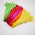 thumbnail image 2 of 50pcs Natural Chick Tail Feathers 25 -40cm /10 -16inch Clothing Decoration Stage Performance Rooster Tail Feathers Plume, 2 of 5