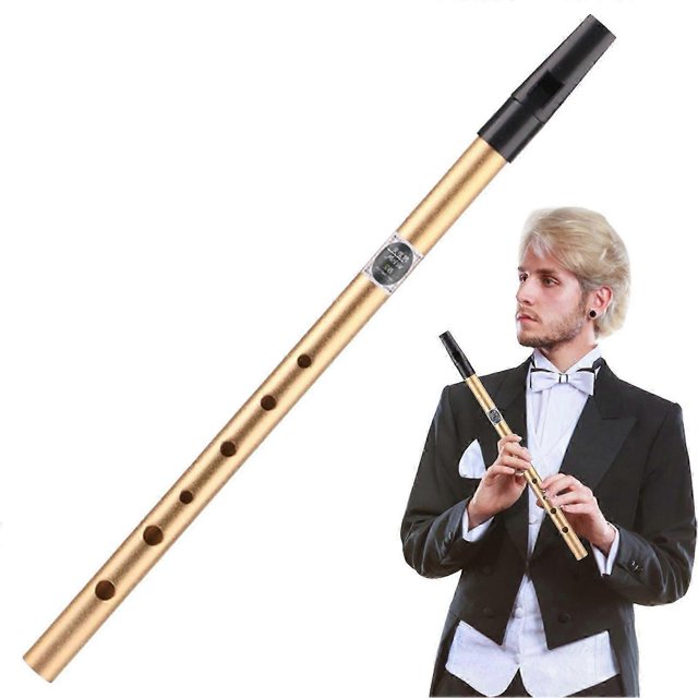 Hand percussion instruments, Irish tin whistle pipe for beginners in key D_c*